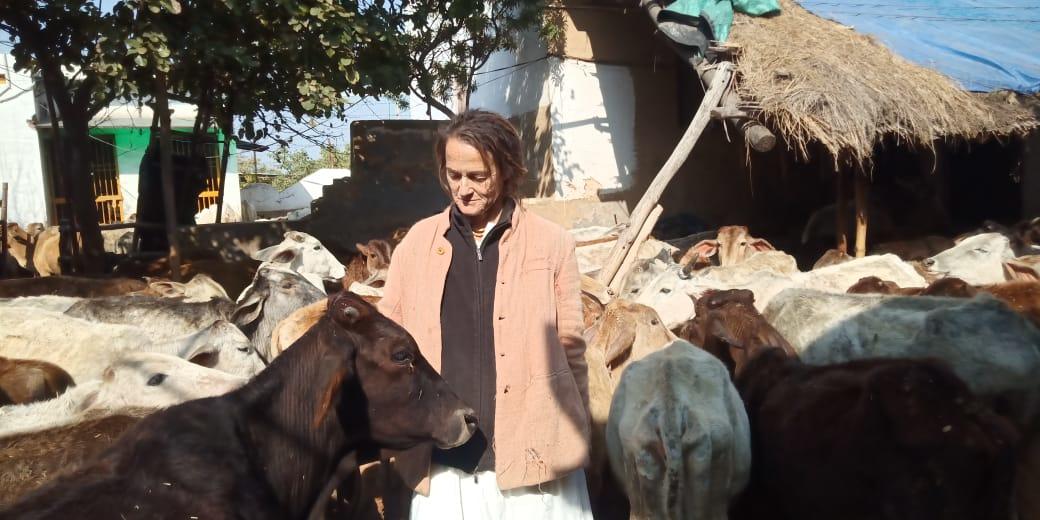 German national accorded Swami Brahmanand award for cow protection