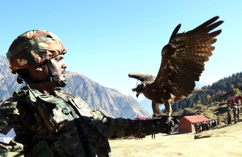 Indian Army showcases raptors, dog trained to counter drones
