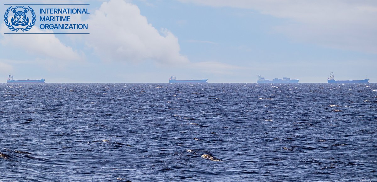 IMO launches evacuation of 11,000 seafarers stranded in Persian Gulf after US-Iran peace deal