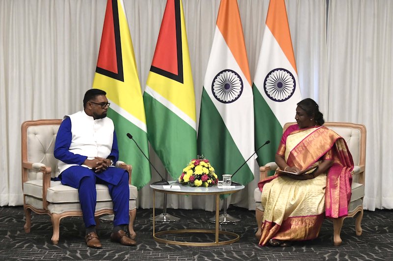 17th Pravasi Bharatiya Divas: President Droupadi Murmu meets her Guyanese counterpart Mohamed Irfaan Ali in Indore