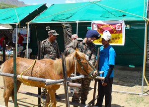 Indian Army’s Remount Veterinary Corps tackles livestock crisis in Ladakh 