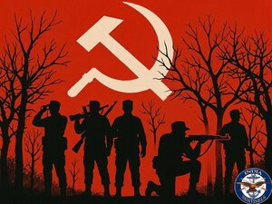Tadmetla Operation 2010: The supreme sacrifice that demands answers