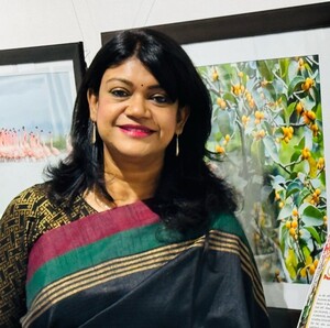Who is Meetu Agarwal? IRS officer gets key role in Defence Production Department