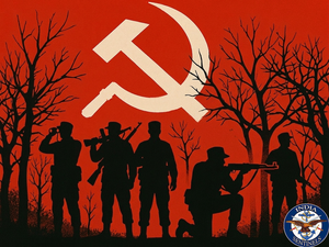 Tadmetla Operation 2010: The supreme sacrifice that demands answers