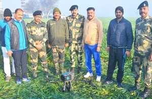 BSF, Punjab Police recover drone sent across from Pakistan in Tarn Taran